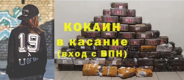 шишки Магас