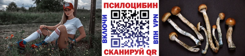 Псилоцибиновые грибы Psilocybe  Отрадное 