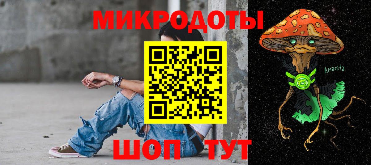 Псилоцибиновые грибы Psilocybe Отрадное