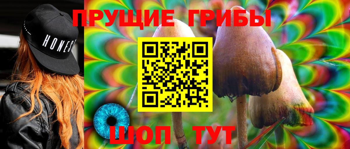 Галлюциногенные грибы Psilocybine cubensis  Отрадное  Псилоцибиновые грибы Psilocybe 