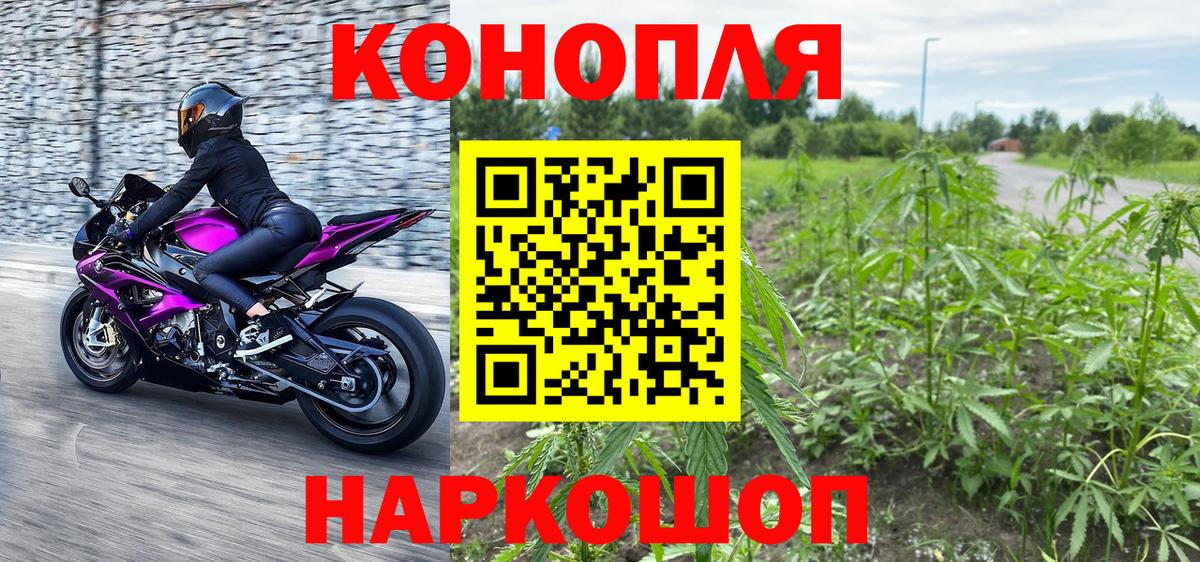 Конопля план Отрадное